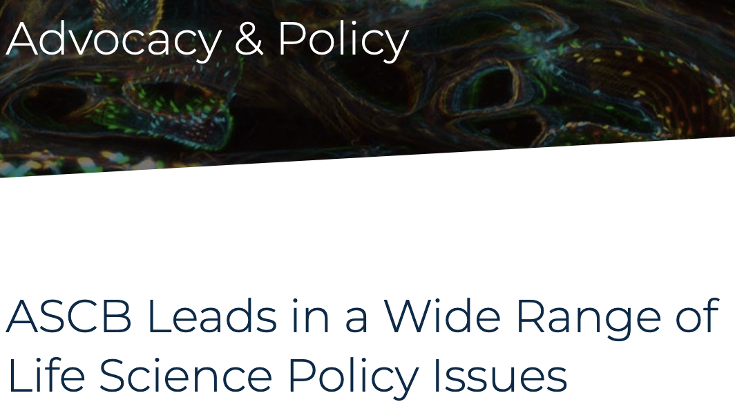 Screenshot 2023-12-08 at 9.20.45 PM